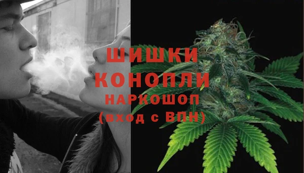 гашик Балахна