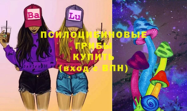 гашик Балахна