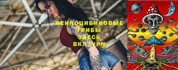 гашик Балахна