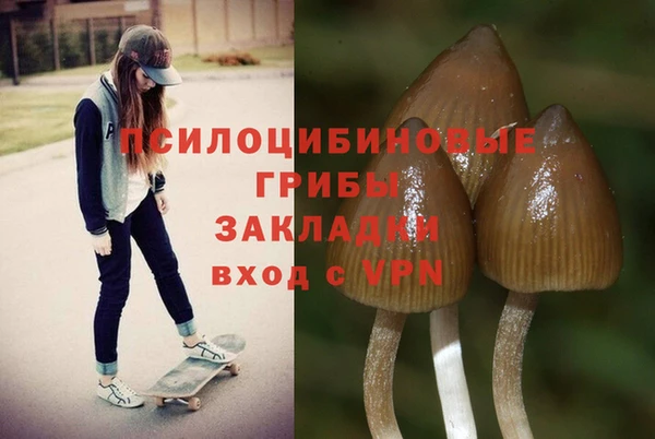 спиды Балабаново